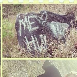 Meet your Posher, Hunter